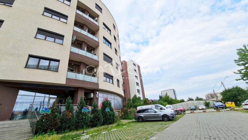 Casa din copac. Un penthouse sic la confluenta de cartiere