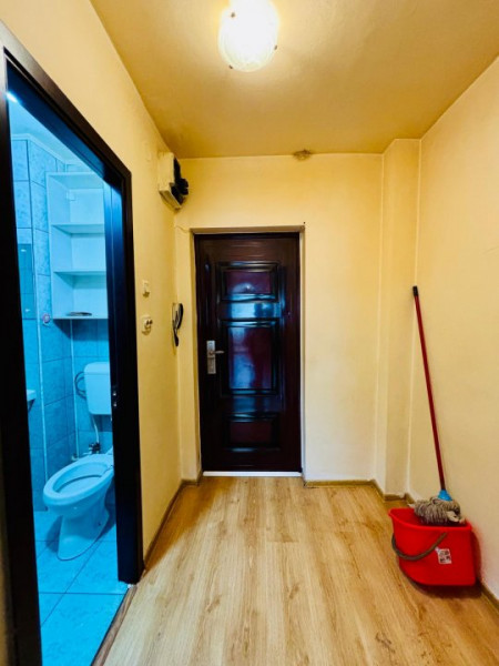 Garsoniera Costin Georgian/Parc Titan/Libera