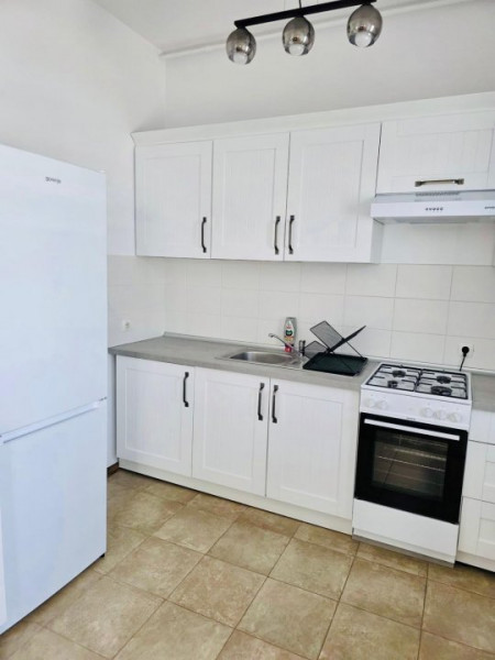 PENTHOUSE TERASA PANORAMICA SI PRIVESLISTE SPRE LAC | DOBROESTI ESTIC PARK