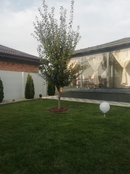 Casă pe parter, curte matură, complex liniștit – Clinceni !