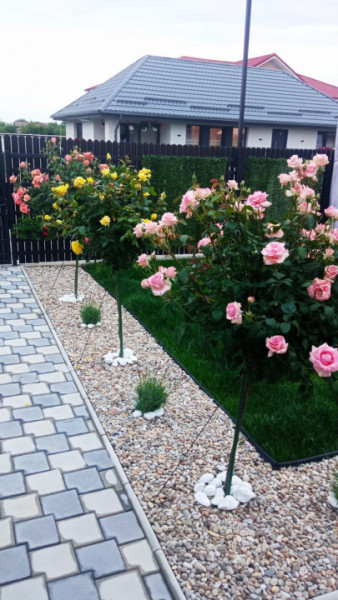 Casă pe parter, curte matură, complex liniștit – Clinceni !